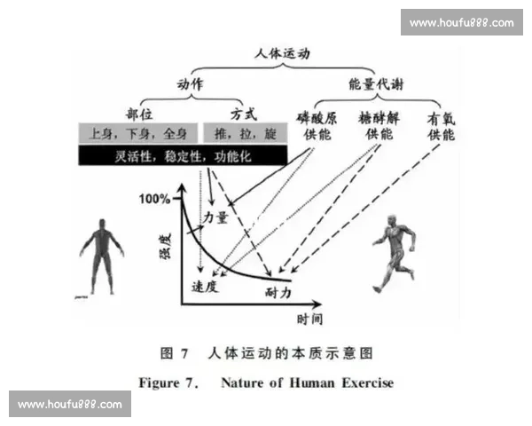 围绕篮球运动表现提升的科学能量摄入与营养策略探索 围绕篮球运动表现提升的科学能量摄入与营养策略探索